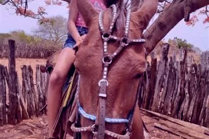 Nora, 23 — Escort in Itaueira, Brazil