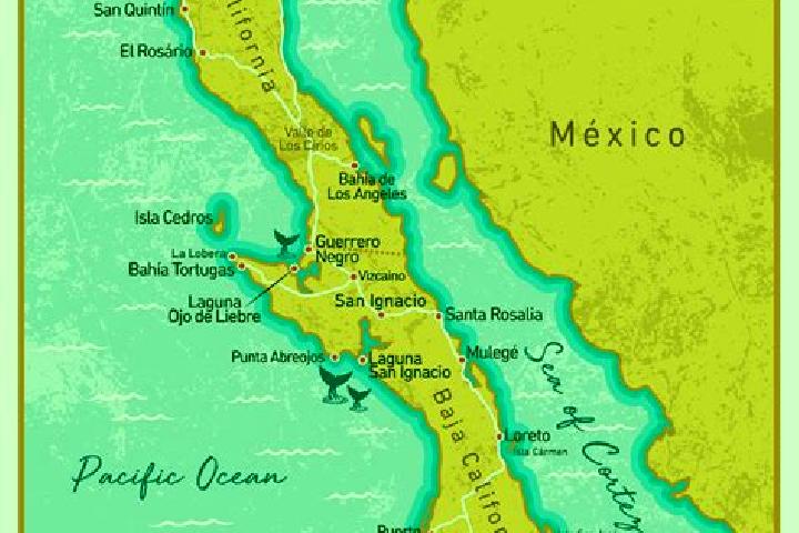 Nora, 23 — Escort in La Peninsula, Mexico