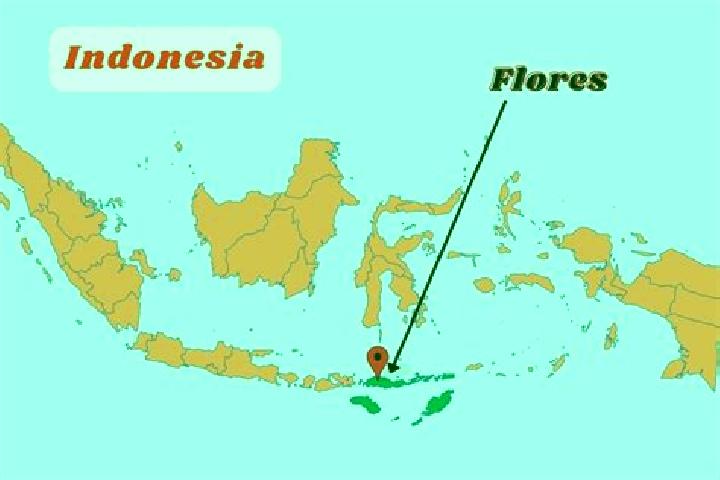 Nora, 23 — Escort in Palue, Indonesia