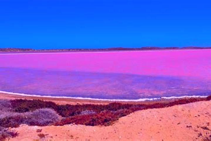Nora, 23 — Escort in Pink Lake, Australia
