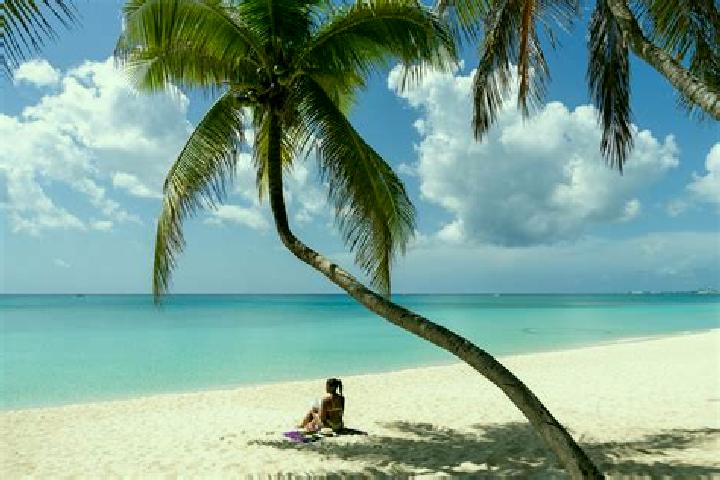 Nora, 23 — Escort in Seven Miles, Cayman Islands