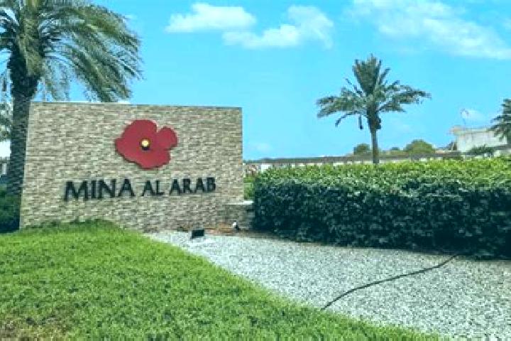Nora, 25 — Escort in Al Jarrahi, Yemen