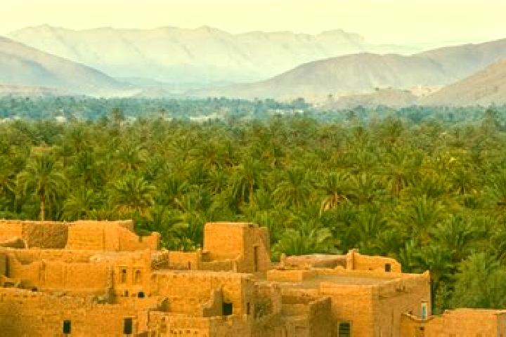 Nora, 25 — Escort in Jamaat Shaim, Morocco