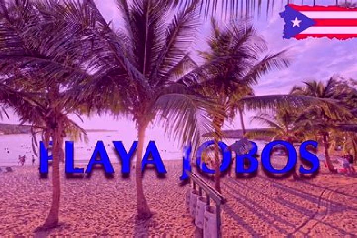 Nora, 25 — Escort in Jobos, Puerto Rico