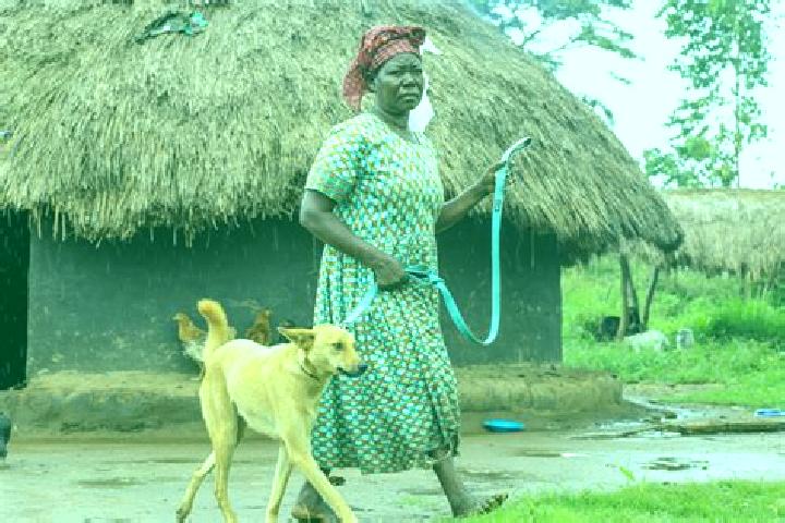 Nora, 25 — Escort in Paidha, Uganda
