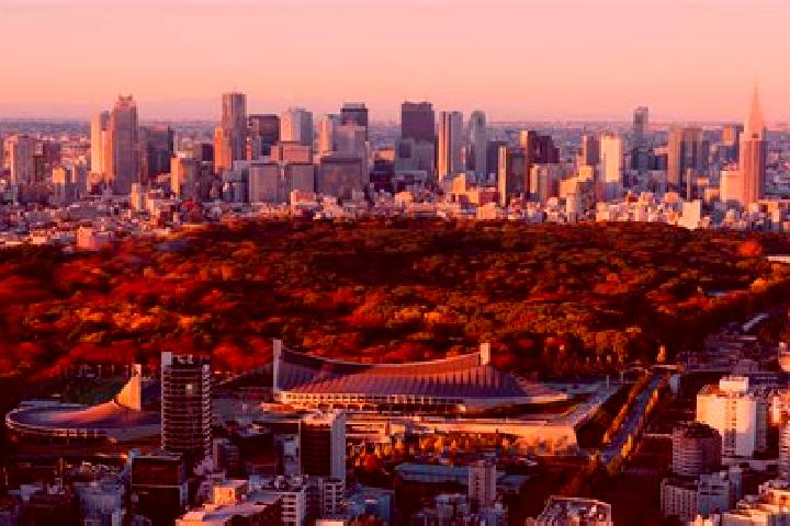 Nora, 26 — Escort in Kanamachi, Japan