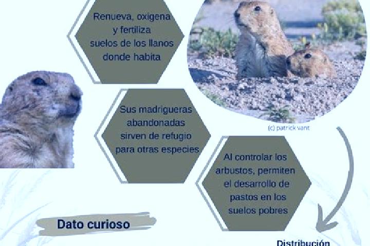 Nora, 26 — Escort in La Pradera, Mexico