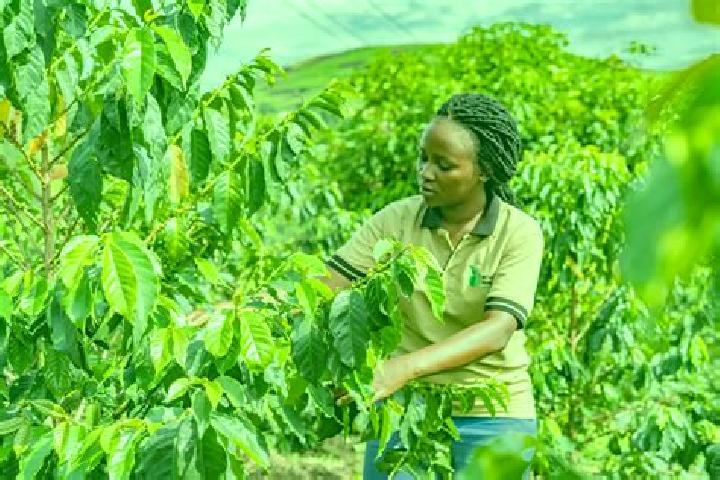 Nora, 26 — Escort in Lyantonde, Uganda