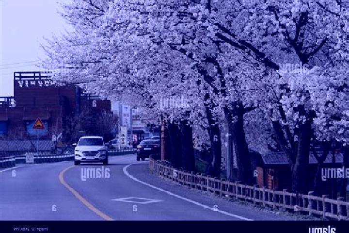 Nora, 26 — Escort in Sangju, South Korea