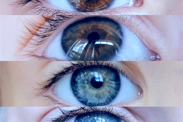 Nora, 27, a chestnut grey-eyed mixed companion based in Athlone. Offering Dinner Date, A-Level, Domination, Tantra, Couples. Available for incall and outcall...