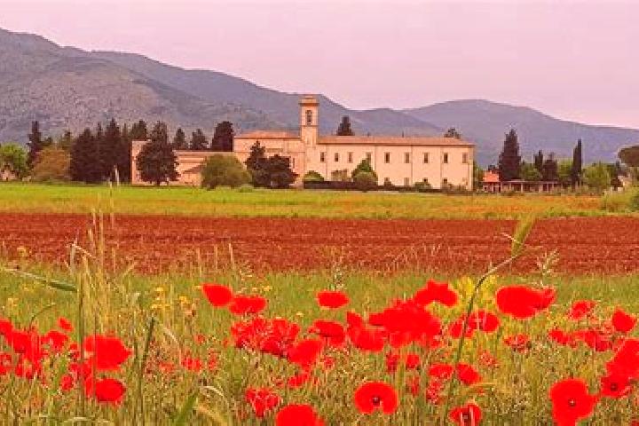 Nora, 27 — Escort in Corfinio, Italy