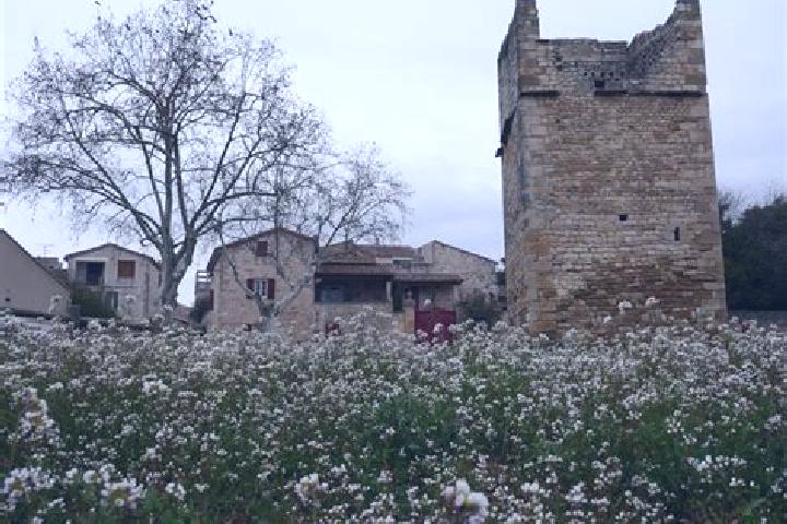 Nora, 27 — Escort in Garrigues-Sainte-Eulalie, France