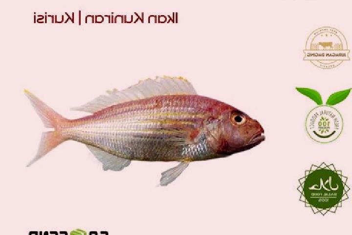 Nora, 27 — Escort in Kuniran, Indonesia
