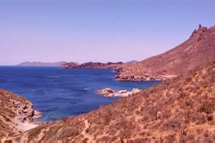 Nora, 28 — Escort in El Carricito, Mexico