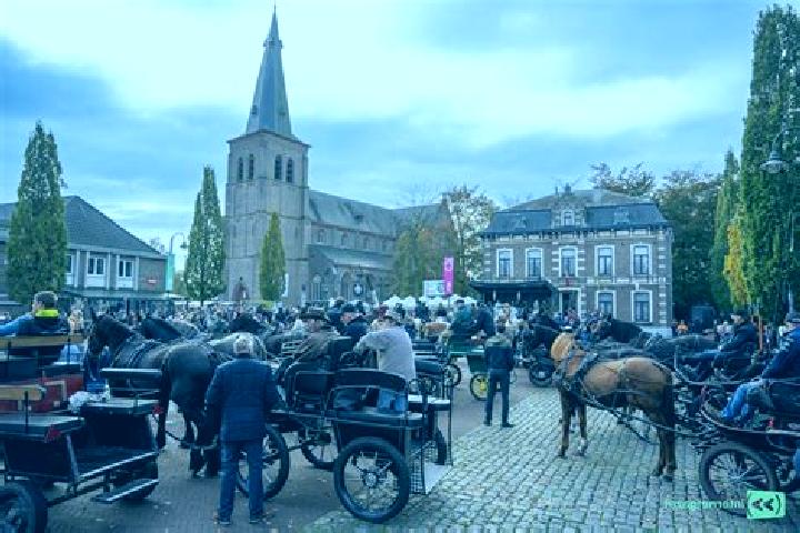Nora, 28 — Escort in Sint-Huibrechts-Lille, Belgium