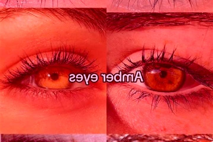 Nora, 29, a chestnut amber-eyed indian companion based in Olgiate Comasco. Offering Roleplay, Couples, Tantra. Available for incall and outcall, day and even...