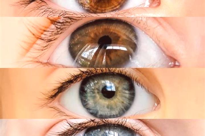 Nora, 29, a chestnut blue-eyed middle eastern companion based in Dorifla. Offering CIM, Prostate Massage, Erotic Massage, Travel Companion. Available for inc...