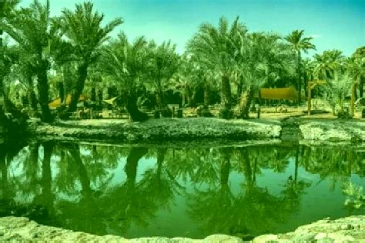 Nora, 29 — Escort in Al-Kharijah, Egypt