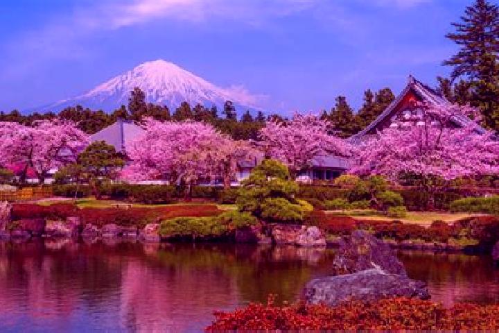 Nora, 29 — Escort in Fujinomiya, Japan