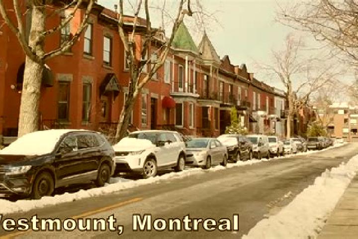 Nora, 29 — Escort in Westmount, Canada