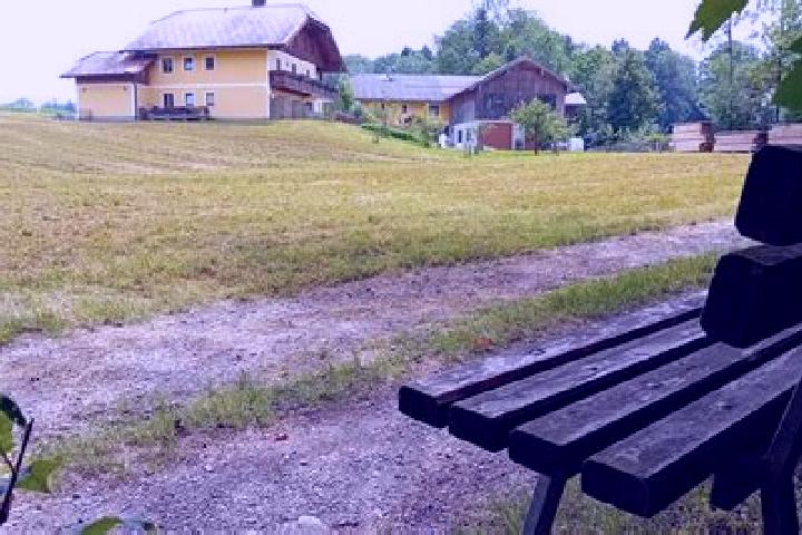Nora, 30 — Escort in Eugendorf, Austria