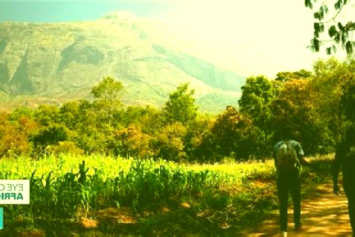 Nora, 30 — Escort in Mulanje, Malawi