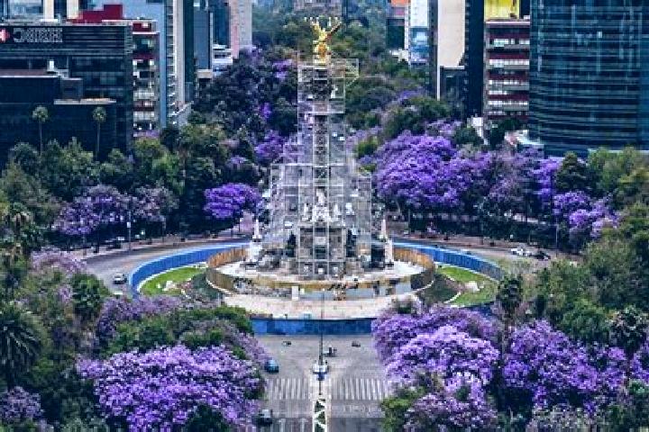 Nora, 31 — Escort in Jacarandas, Mexico