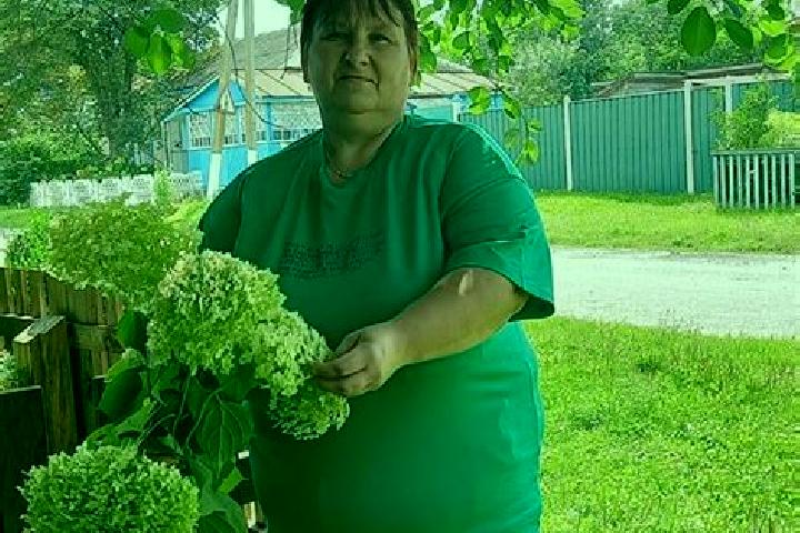 Nora, 31 — Escort in Kizema, Russia