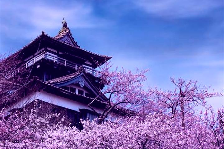 Nora, 31 — Escort in Maruoka, Japan