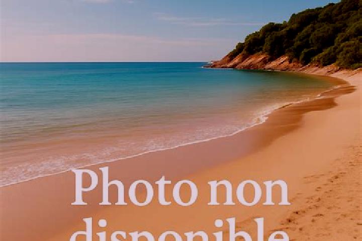 Nora, 31 — Escort in Oye-Plage, France