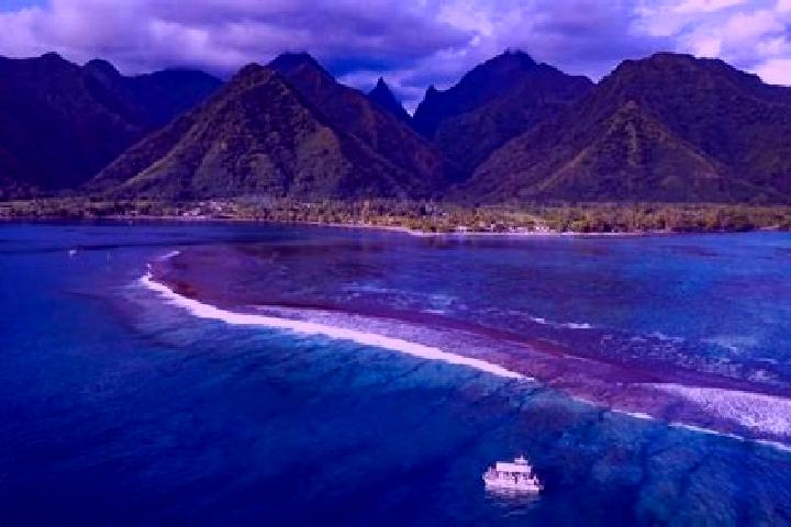 Nora, 31 — Escort in Teahupoo, French Polynesia