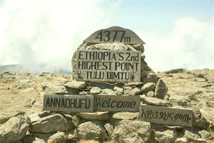 Nora, 32 — Escort in Dimtu, Ethiopia