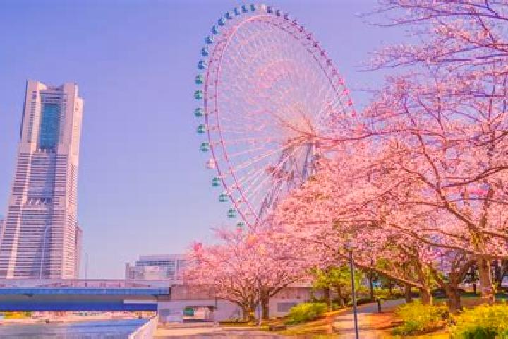 Nora, 32 — Escort in Minatomirai, Japan