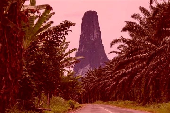 Nora, 32 — Escort in Monte Cafe, Sao Tome and Principe