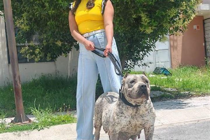 Nora, 32 — Escort in Xococapa, Mexico