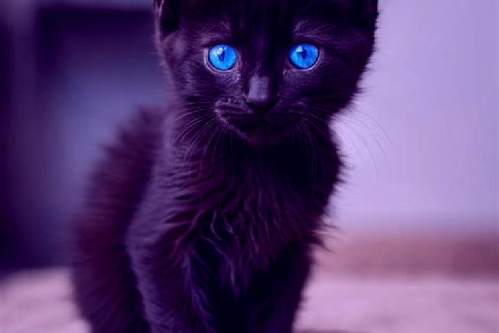 Nora, 33, a black blue-eyed caribbean companion based in Mosher. Offering A-Level, Party Girl, GFE, BDSM, 69. Available for incall and outcall, overnight boo...