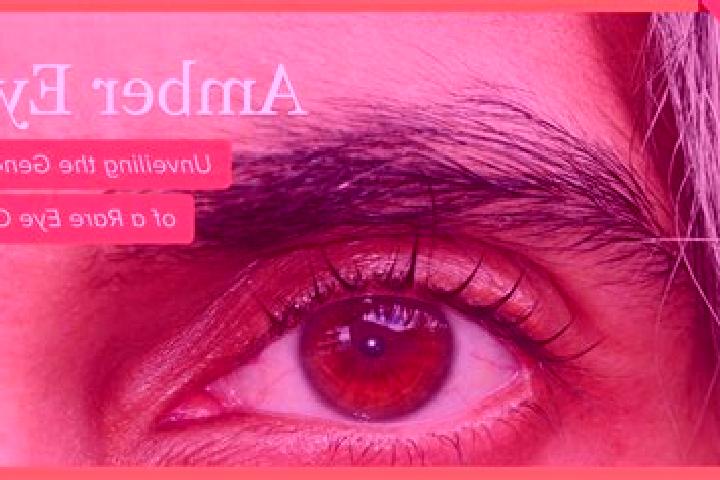 Nora, 33, a red amber-eyed indian companion based in Mszana Gorna. Offering Fetish, CIM, Deep French Kissing. Available for incall and outcall, overnight boo...