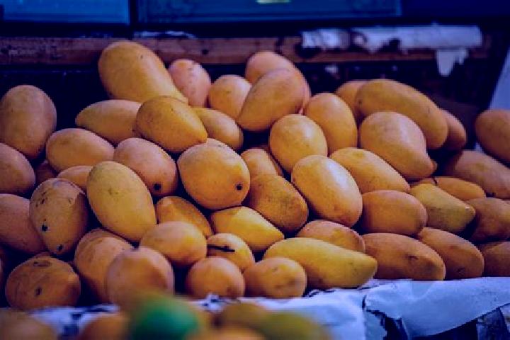 Nora, 33 — Escort in Puerta de Mangos, Mexico