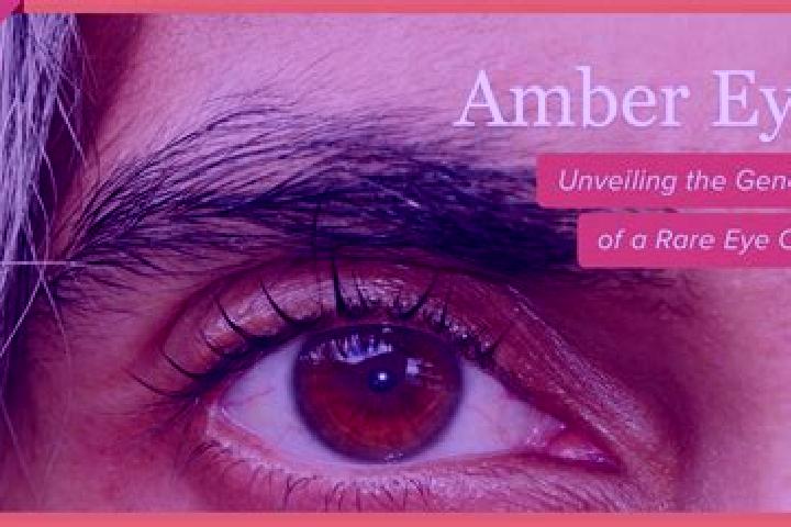 Nora, 34, a red amber-eyed mediterranean companion based in Offenhausen. Offering Fetish, OWO, CIM, Massage. Available for incall and outcall, overnight book...