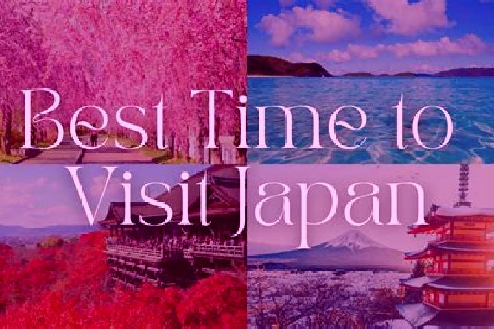 Nora, 34 — Escort in Oshidomari, Japan