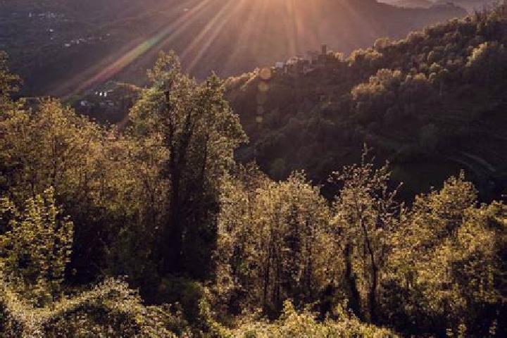 Nora, 34 — Escort in Ponte A Elsa, Italy