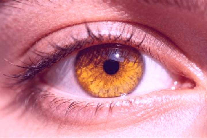 Nora, 35, a auburn amber-eyed caribbean companion based in Currais. Offering OWO, Fetish. Available for incall and outcall, day and evening dates.