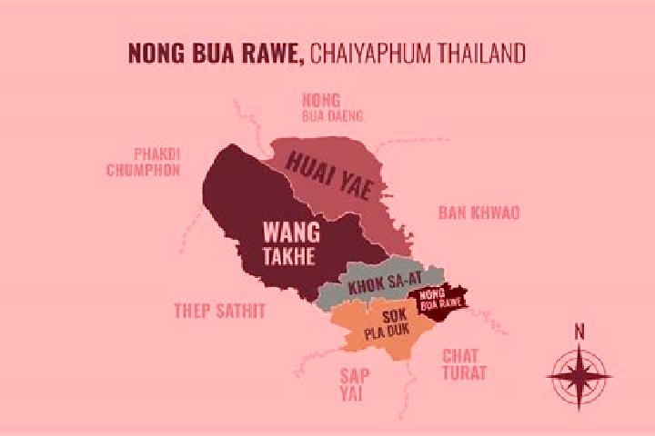 Nora, 35 — Escort in Nong Bua Rawe, Thailand