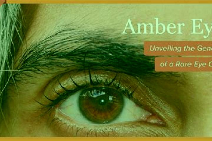 Nora, 36, a black amber-eyed indian companion based in Guardea. Offering Erotic Massage, Overnight, Massage. Available for incall and outcall, day and evenin...
