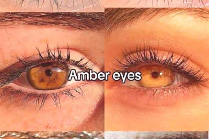 Nora, 36, a chestnut amber-eyed caucasian companion based in Stanford Merthyr. Offering OWO, Massage, 69. Available for incall and outcall, overnight booking...
