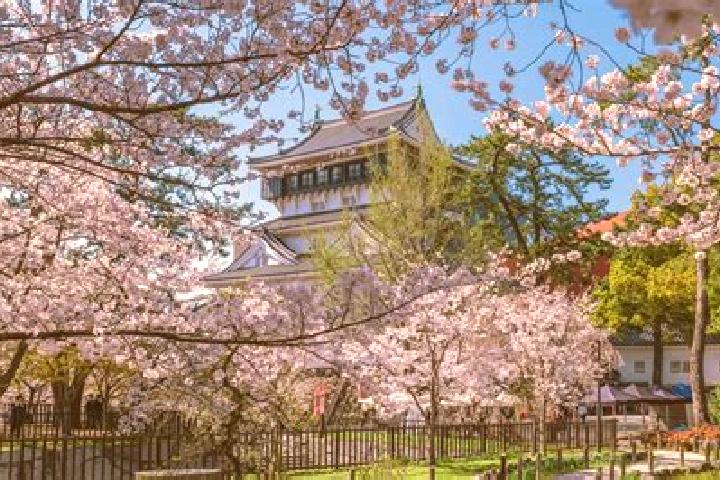 Nora, 36 — Escort in Kitakyushu, Japan