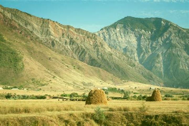 Nora, 36 — Escort in Obikiik, Tajikistan