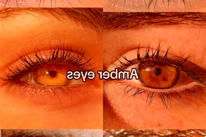 Nora, 37, a chestnut amber-eyed caribbean companion based in Lutecia. Offering BDSM, Roleplay, Domination, Travel Companion. Available for incall and outcall...