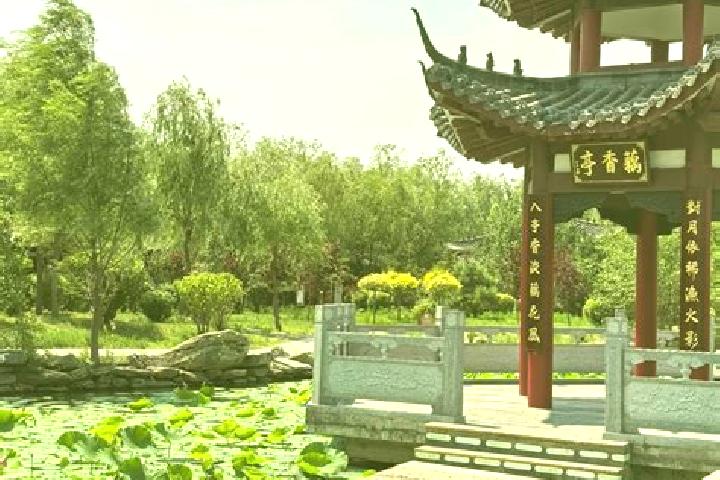 Nora, 37 — Escort in Nenjiang, China