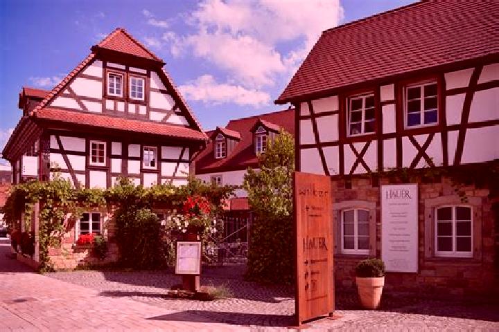 Nora, 37 — Escort in Pleisweiler-Oberhofen, Germany
